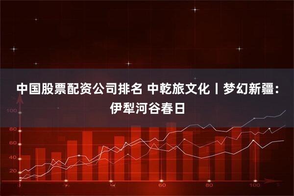 中国股票配资公司排名 中乾旅文化丨梦幻新疆：伊犁河谷春日